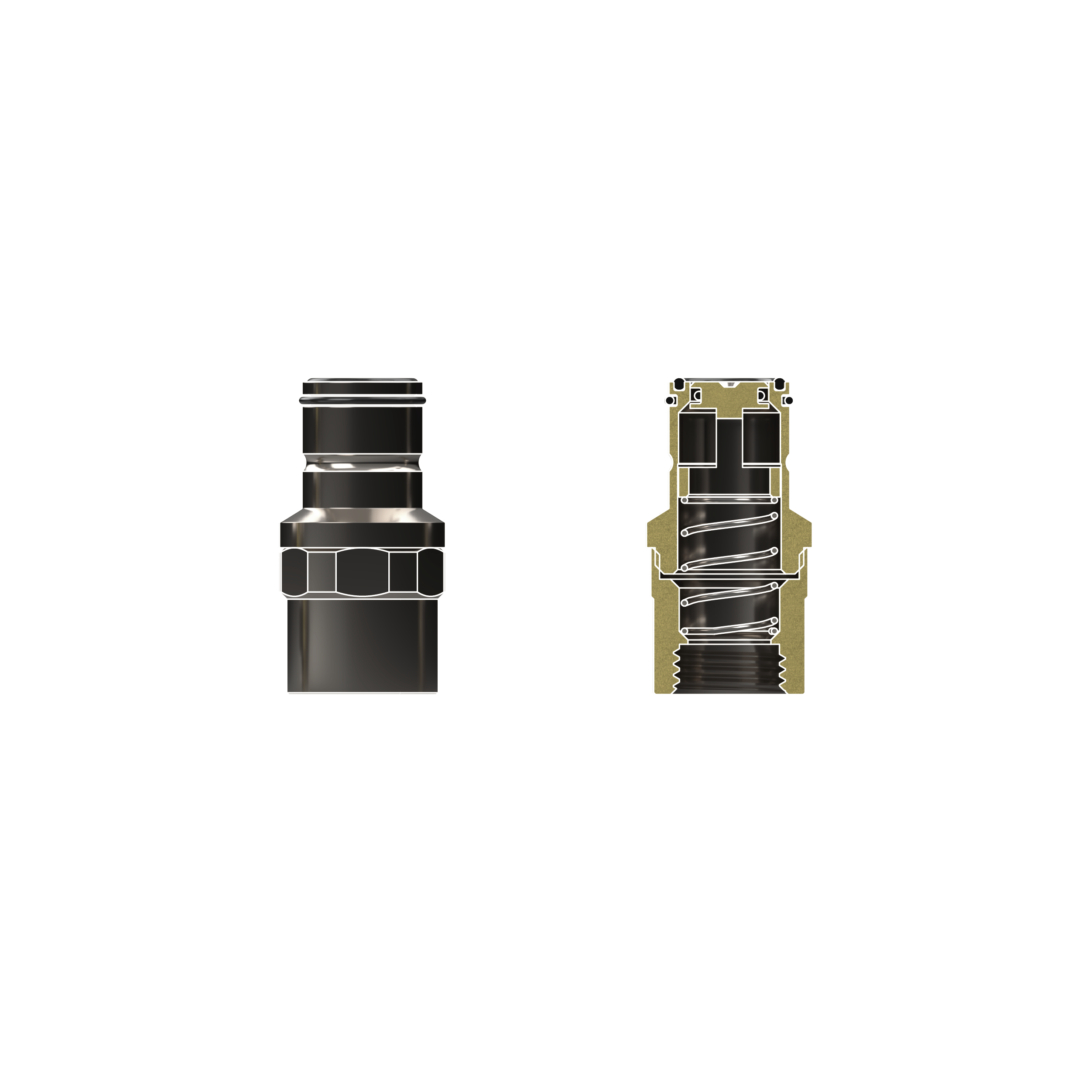 DBT - TG-DM-QDC-0320