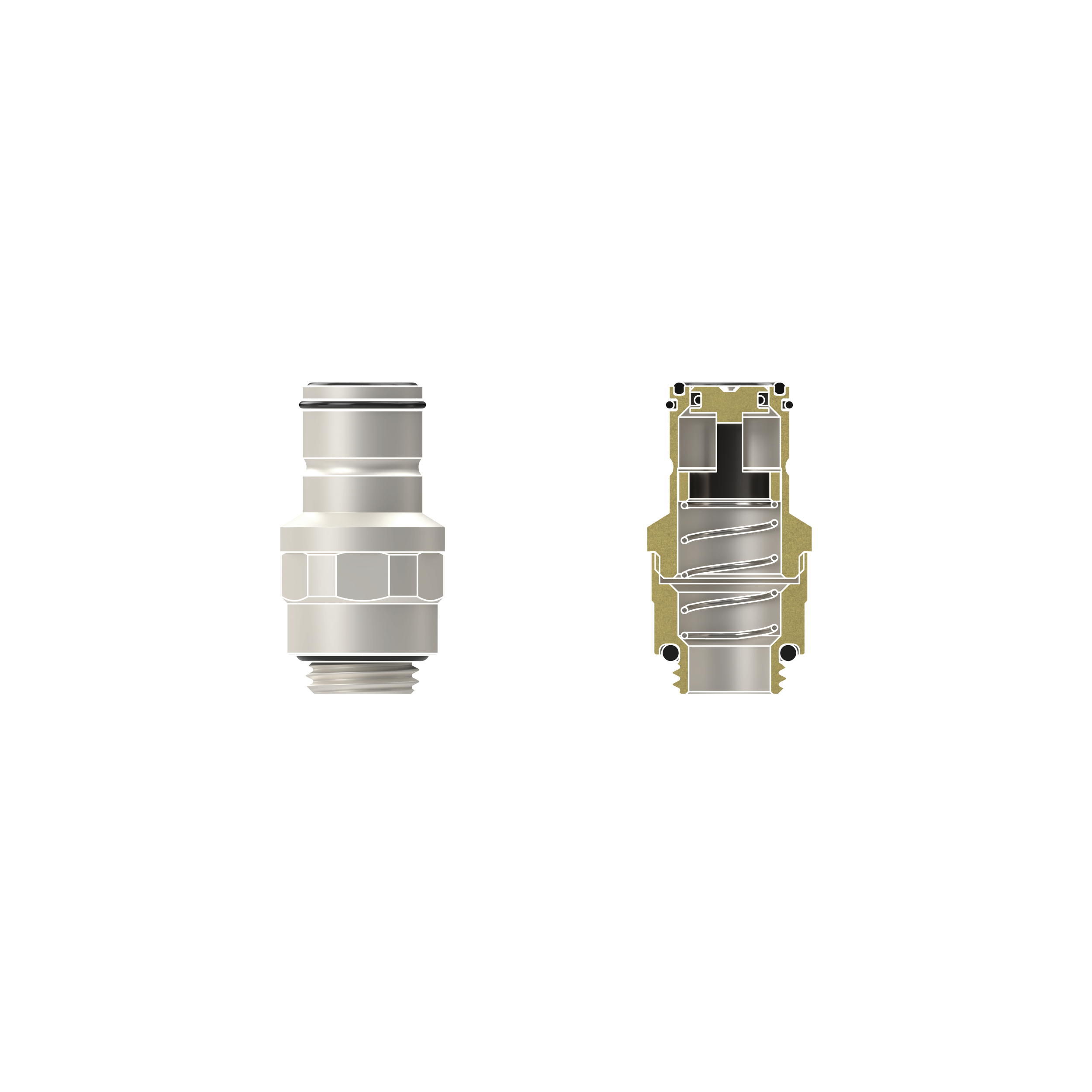 DBT - TG-DM-QDC-0210