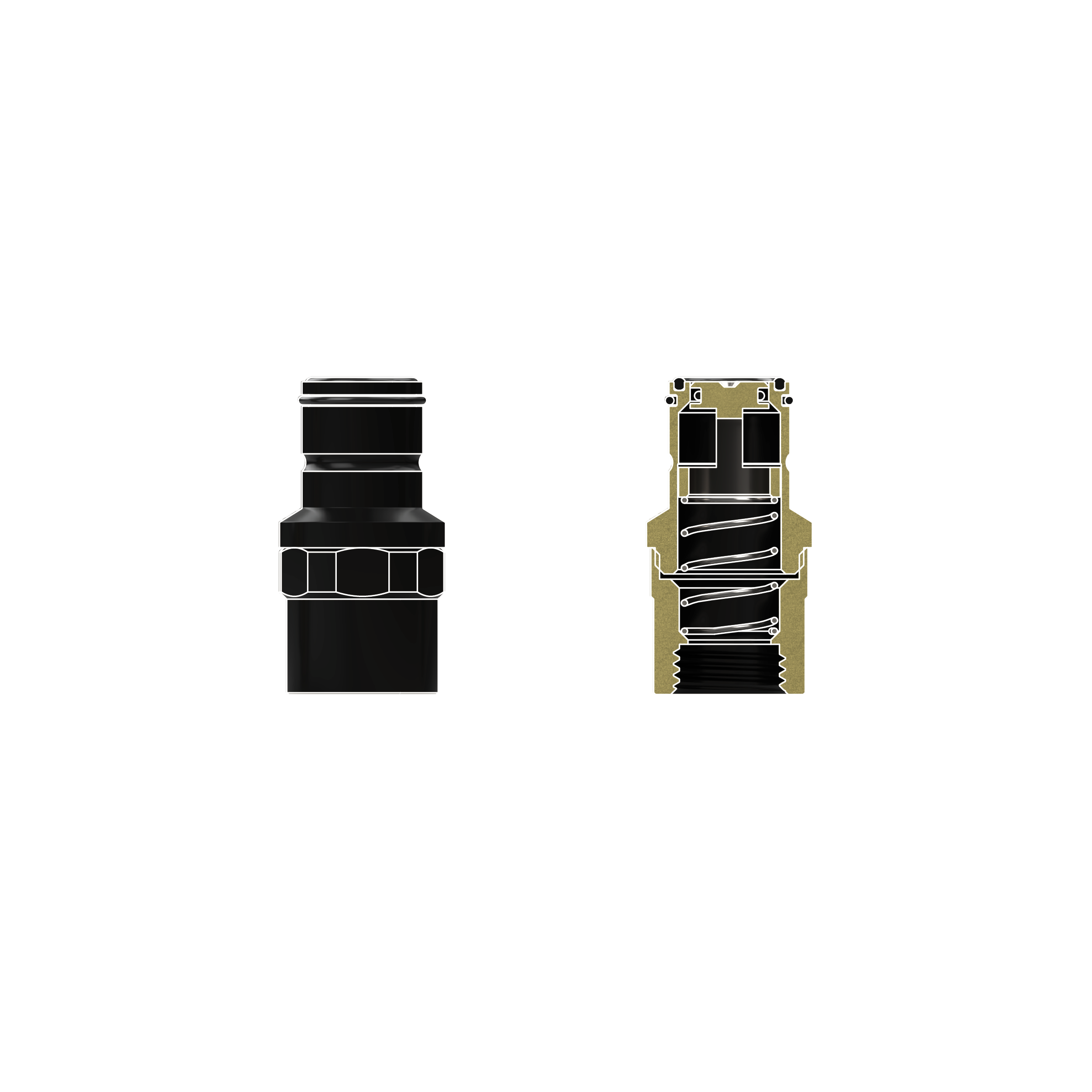 DBT - TG-DM-QDC-0020