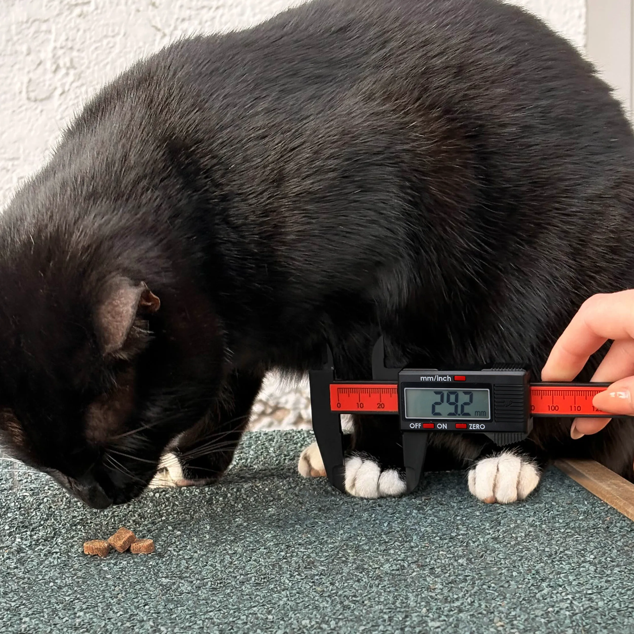 Measuring Correctly. With the New TG Caliper
