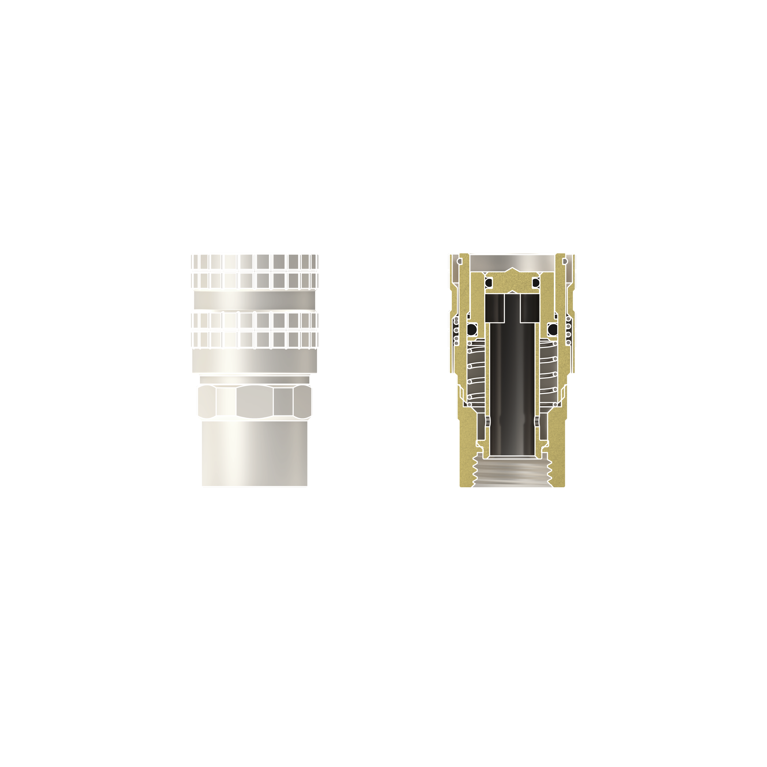 DBT - TG-DM-QDC-0202